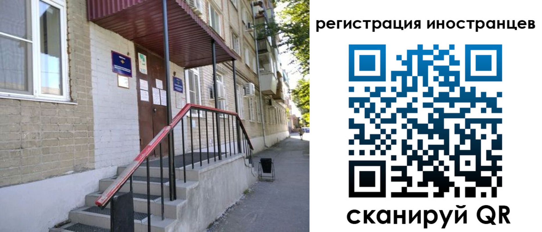 прописка поиск в Курской области